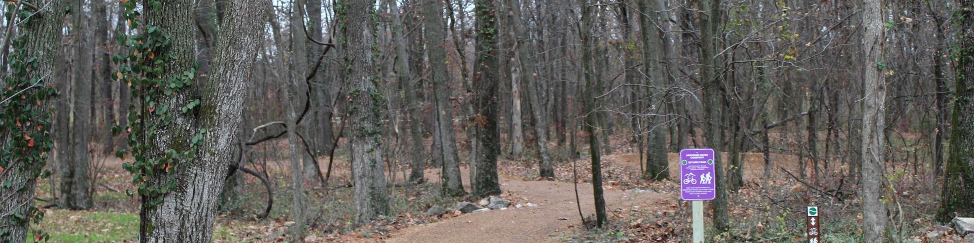 Hard surface chip and seal trail through the woods