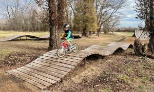 Triple Nessy feature in the bike skills area